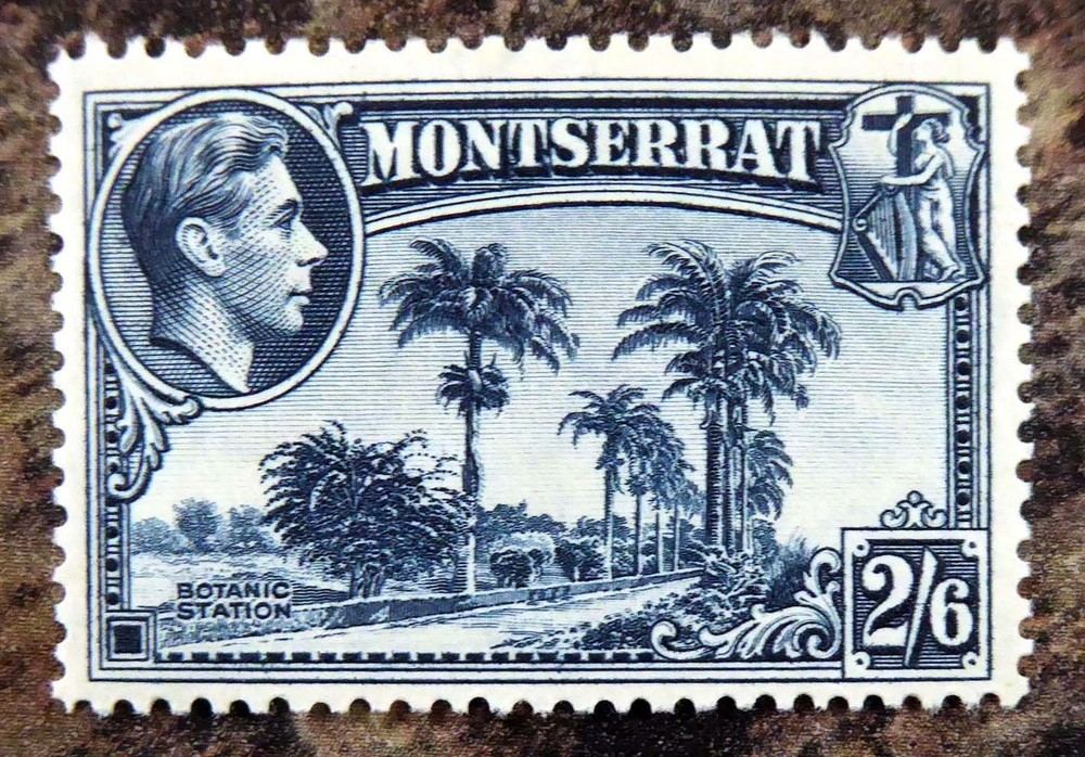 MONTSERRAT 1938 G.VI - 2/6  SG109 U/M GW402