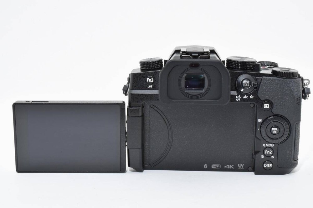 Panasonic LUMIX DC-G99D #1795
