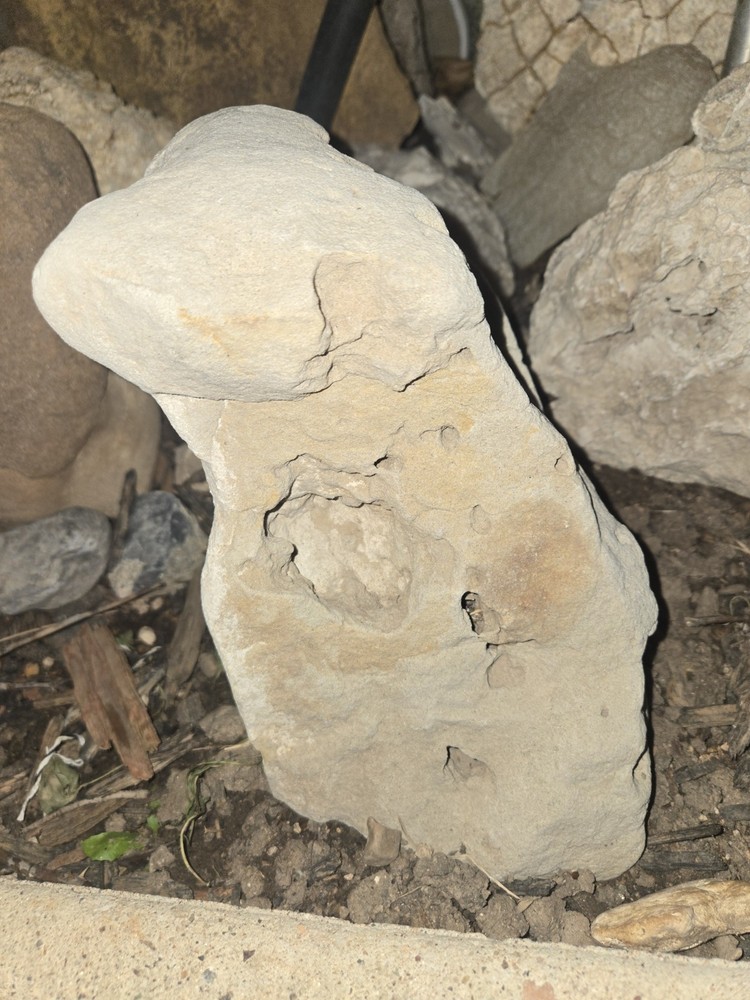 Dinosaur Bone From Utah