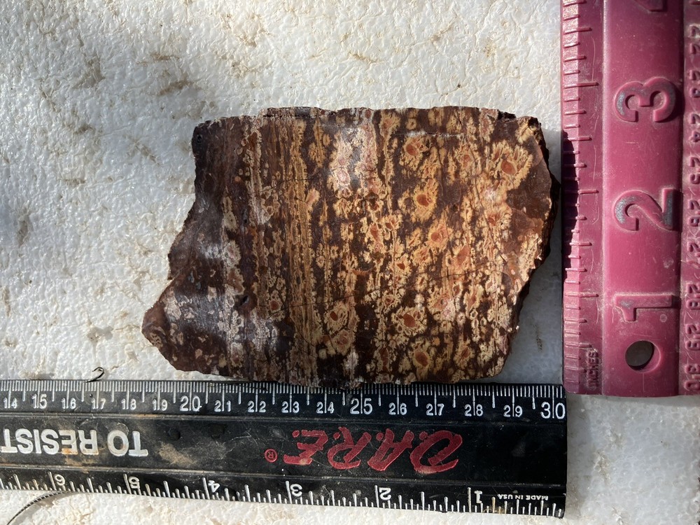 Birds Eye Rhyolite Slab