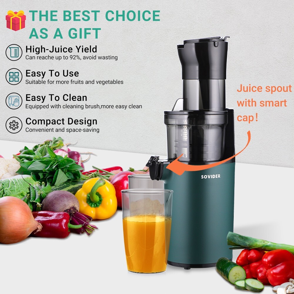 Slow Juicer Machine Masticating Cold Press Juicers Squeezer Vegetable Processor