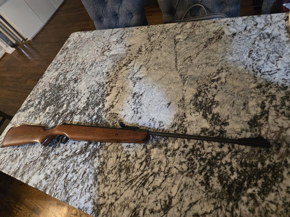 Ruger Air Hawk .177 Air Rifle