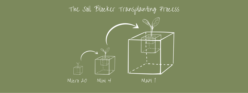 Ladbrooke Soil Block Maker - Micro 20. Authorized Reseller.