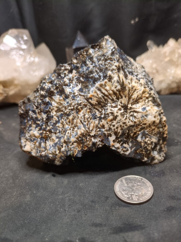 Black & White Dendric Specimen Natural Form (1lb 9oz)