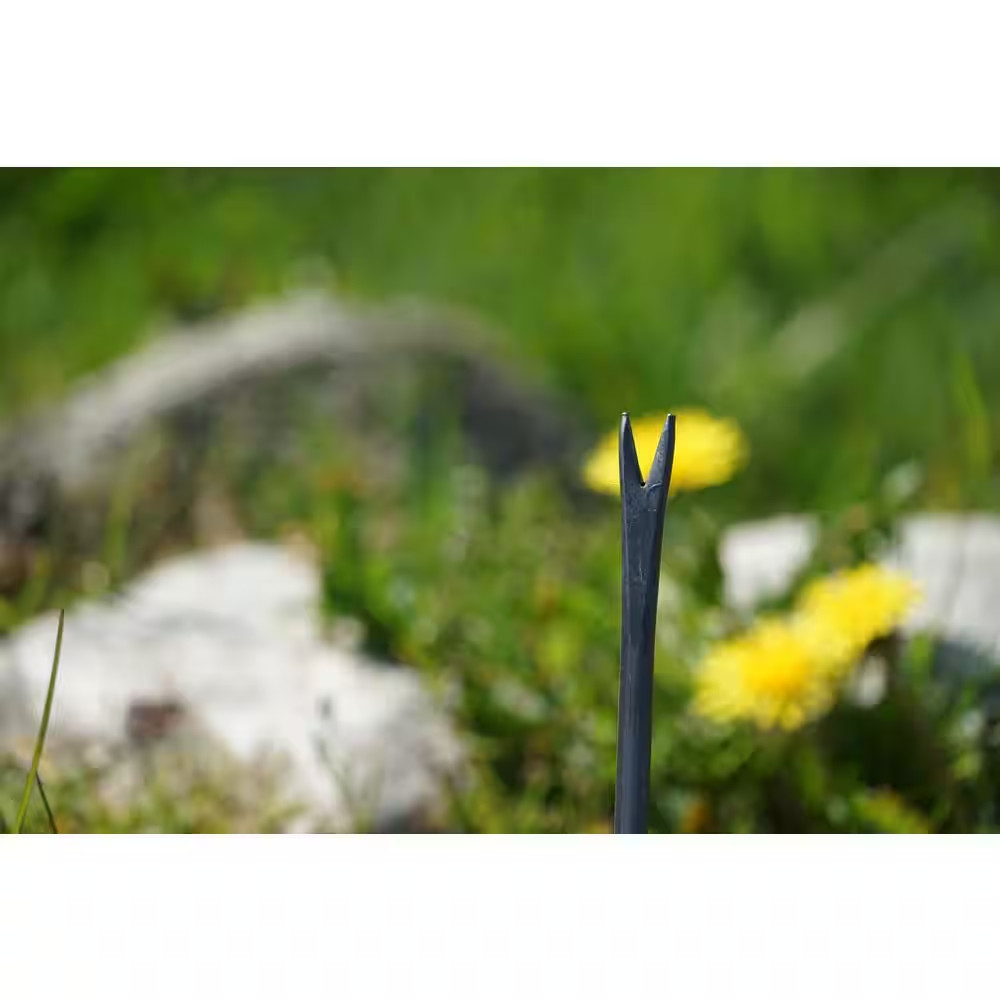 5 In. X 14 In. L Handle Dandelion Weeder
