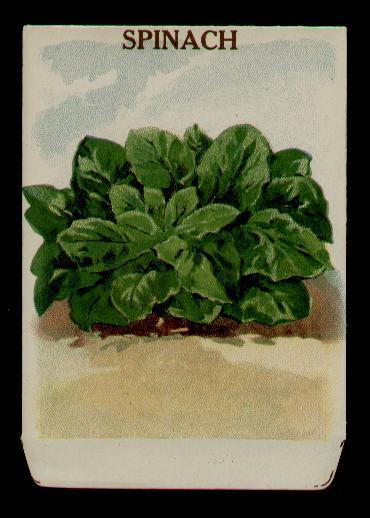 1915 SPINACH ANTIQUE LITHOGRAPH SEED PACKET `~L@@K~