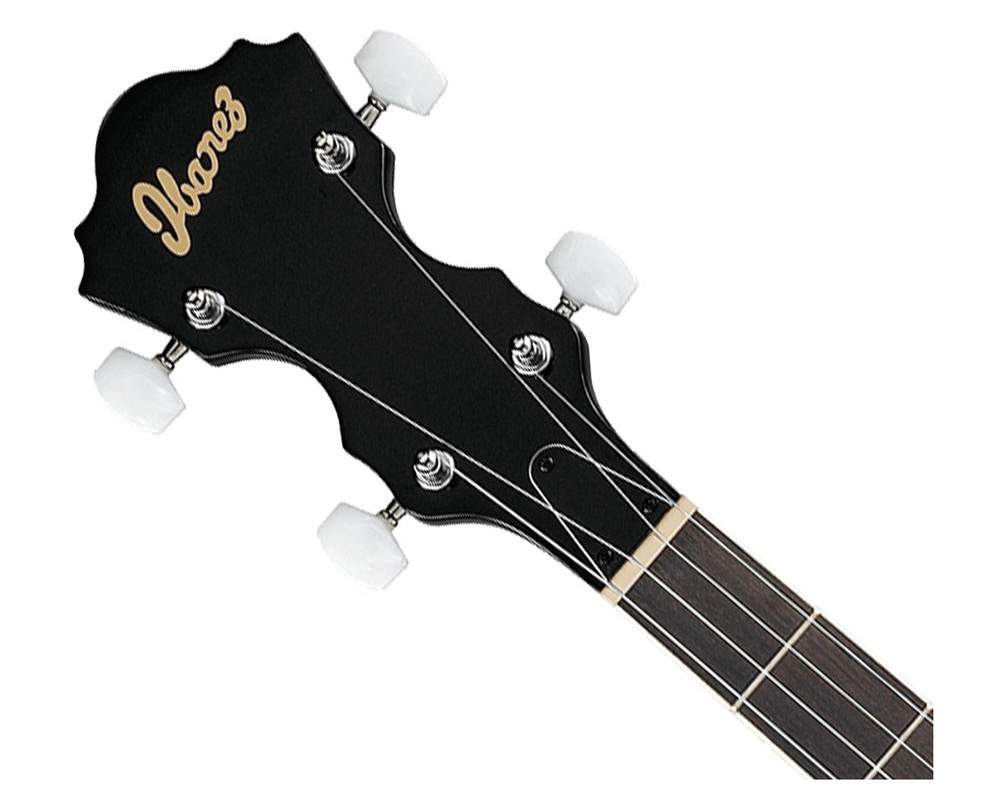 Ibanez B50 5-String Banjo - Natural