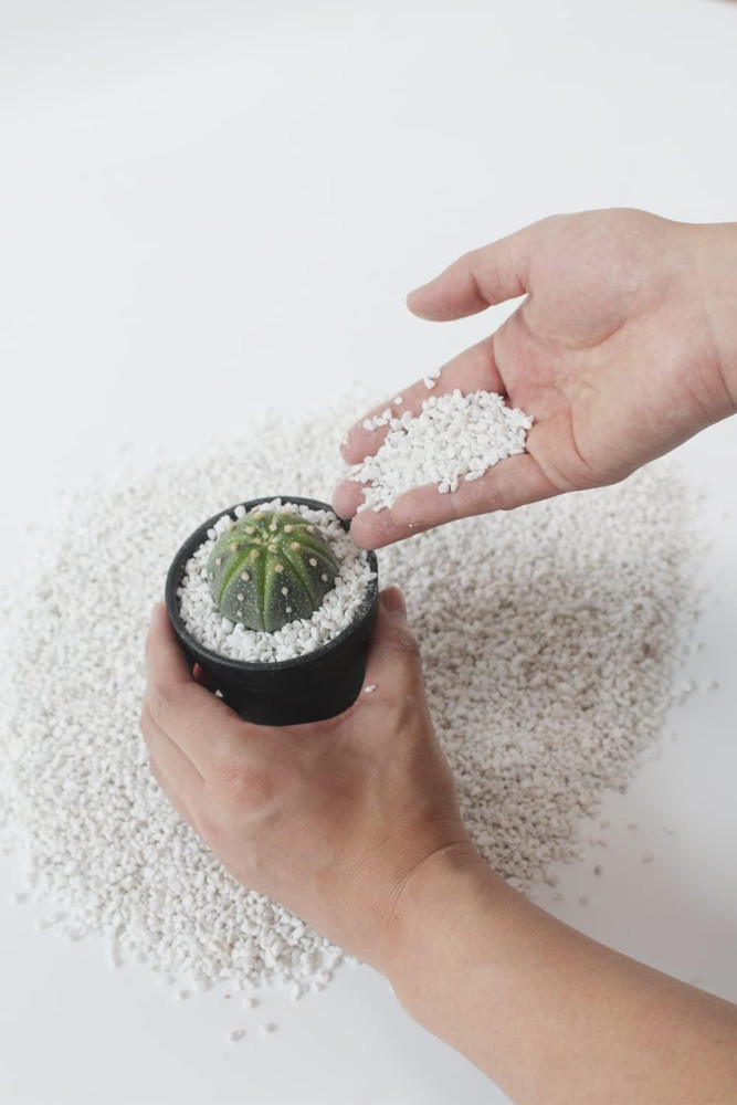 2 Quart Organic Perlite Horticultural Soil Amendment for Plants and Enhanced Dra