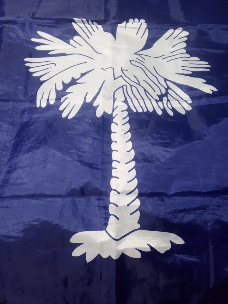south carolina state flag