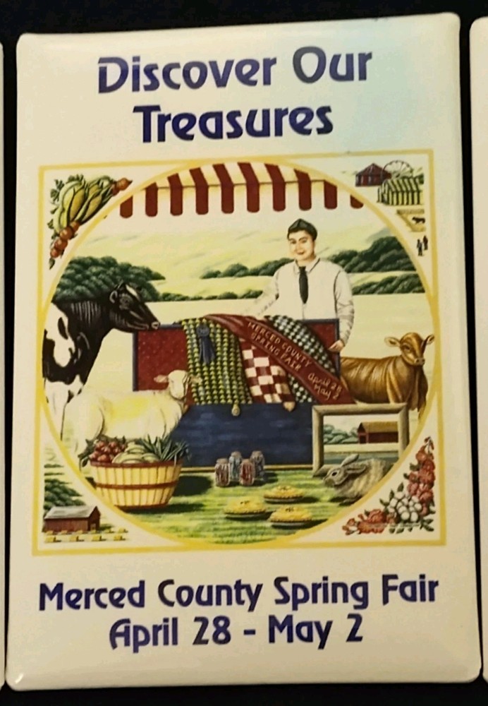 3 MERCED COUNTY SPRING FAIR 1997 PIN BACK BUTTONS RECTANGLE NICE!!