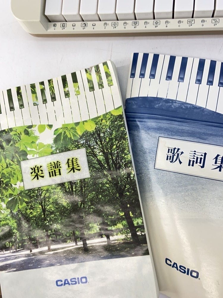 CASIO Electronic Piano Lk-526 Keyboard Used