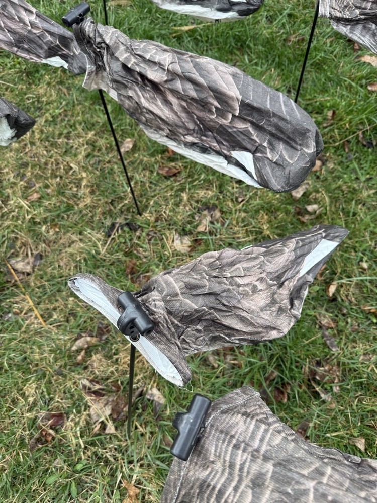 1 Dozen White Rock Canada Goose Headless Sock Deocys