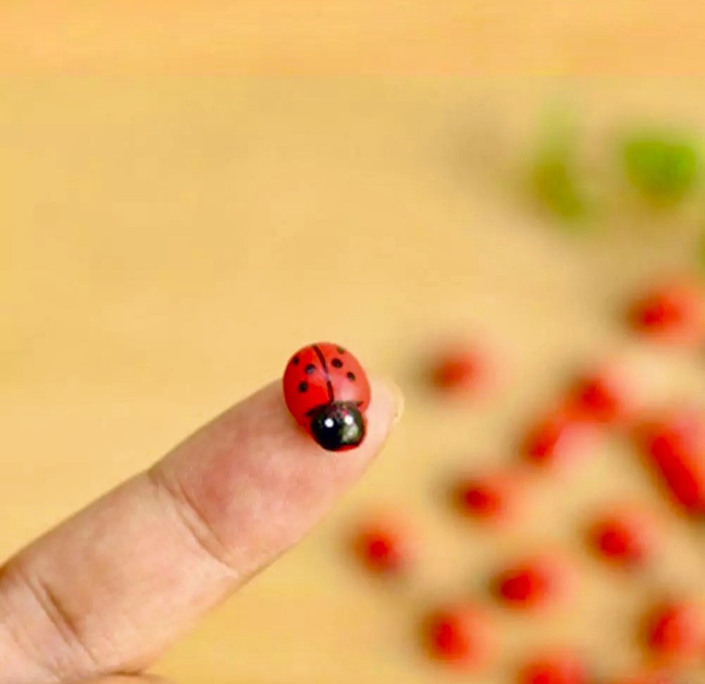 3D Ladybug Fridge Magnet Lot Handcraft 👻🧲 (10) Pc Mini Style