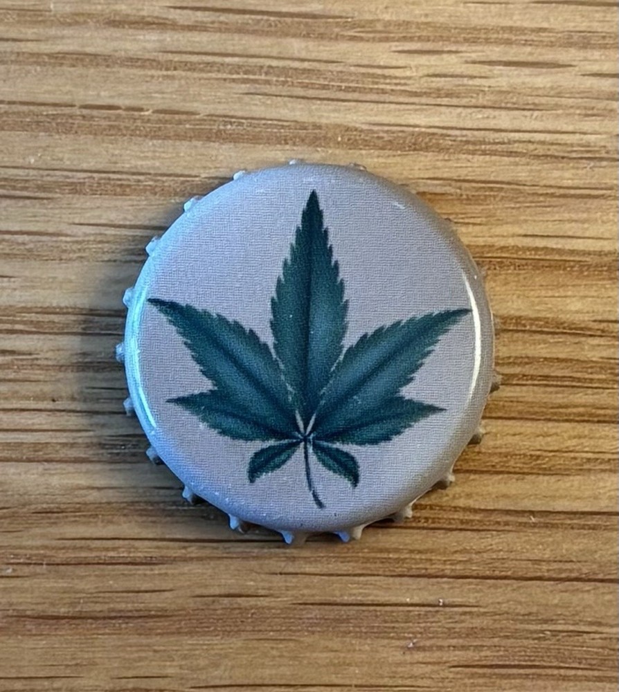 Beer Bottle Top Fridge Magnets