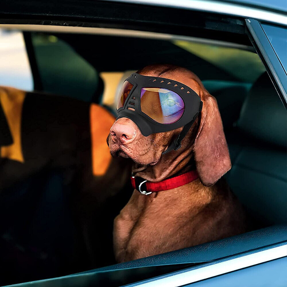 Cool Dog Goggles Large & Small Breed