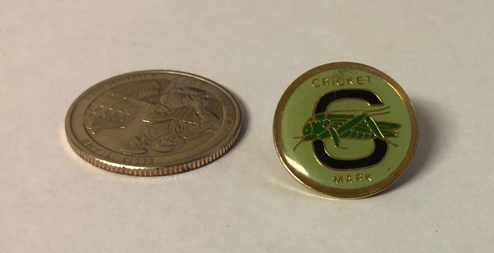 Cricket Mark 6 Darts Pin