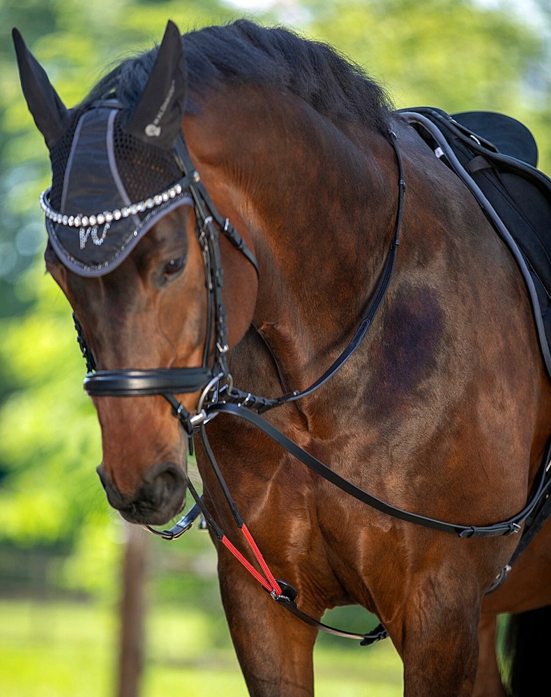 Training Reins System
