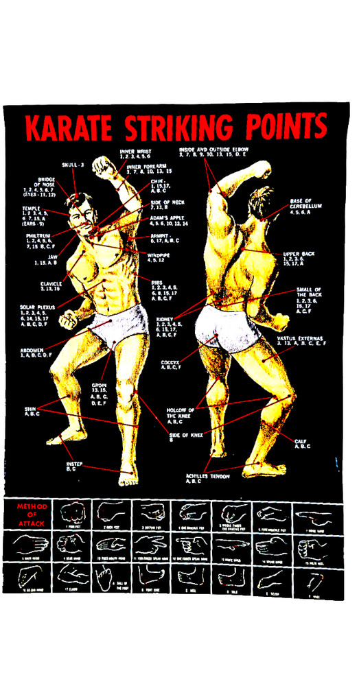 Karate Striking Points Poster 30"x21"