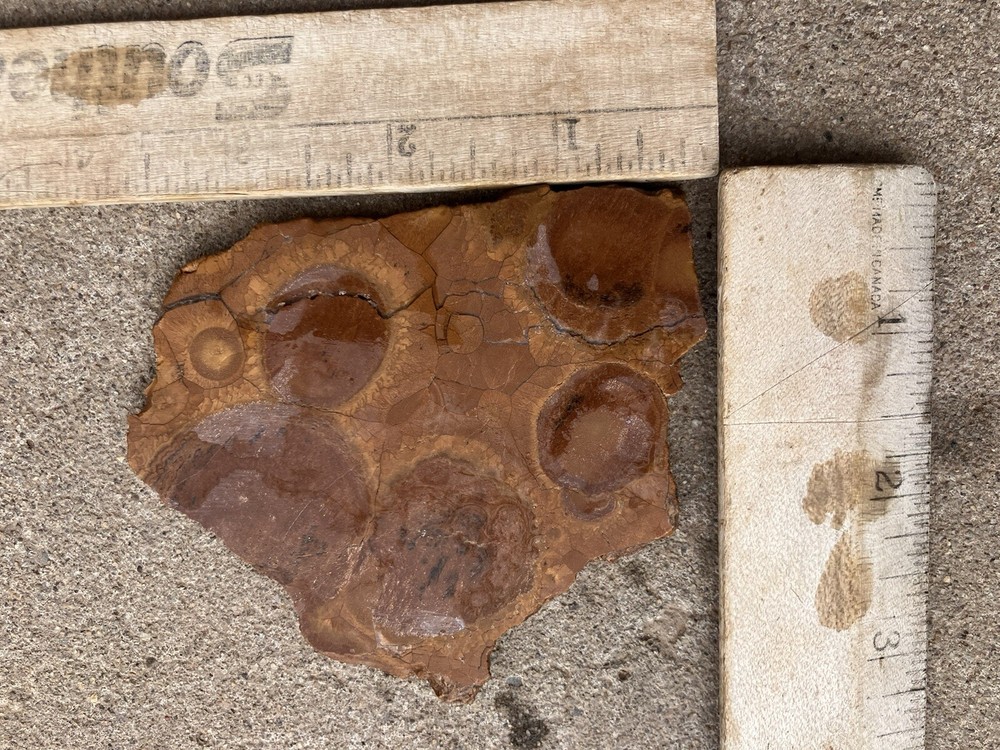 Obicular Jasper Slab