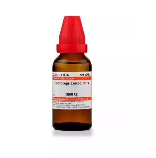 Willmar Schwabe India Homeopathic Bothrops Lanceolatus Dilution 30ml