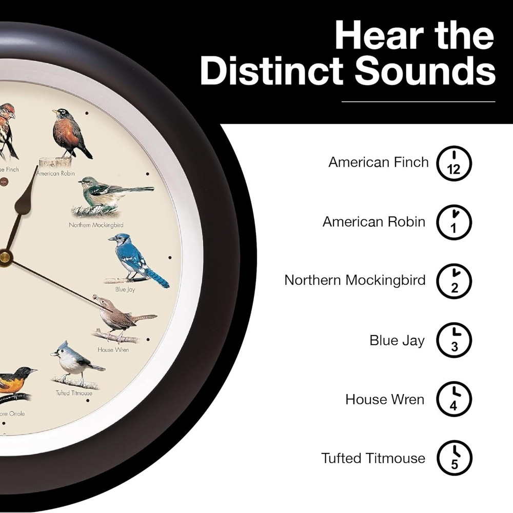 Authentic Singing Bird Wall Clock 13" Black - Quartz Movement, Battery Powered