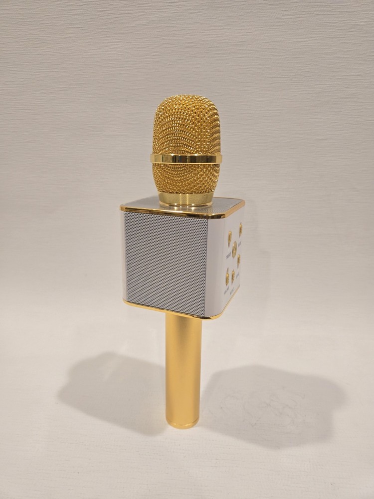 My Karaoke Pro Bluetooth 2-in-1 Wireless Microphone & Speaker 2019