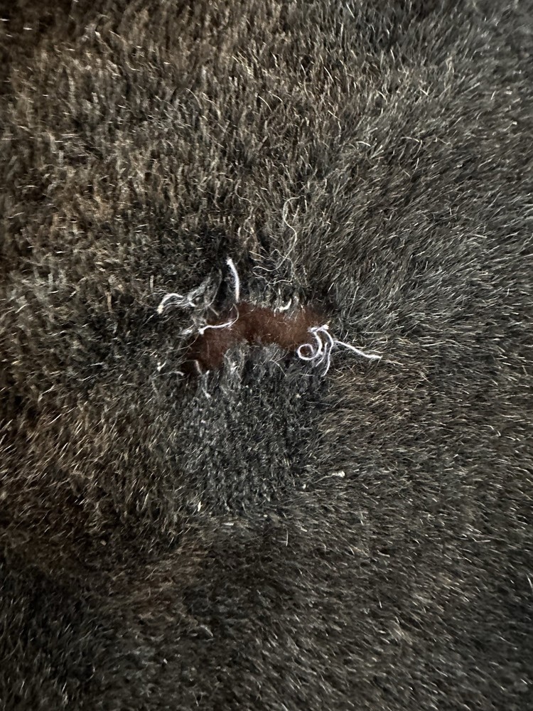 Bear blanket: 60” by 54”