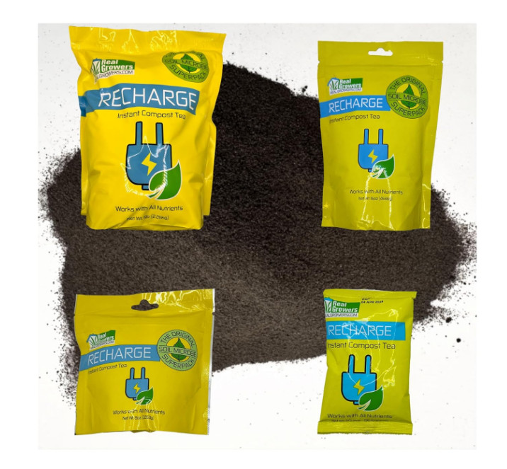 Real Growers Recharge 16oz