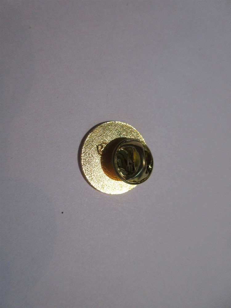 Rainbow Foundation Rainbow Maker Lapel Pin FREE SHIPPING
