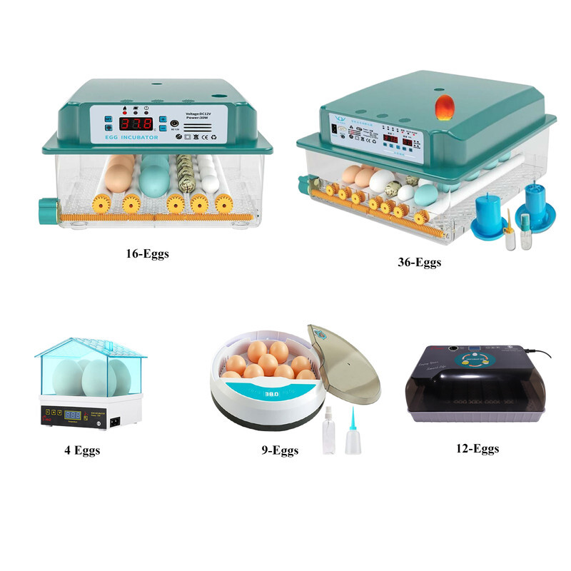 4/12/36Egg Incubator Chicken Hatcher Automatic Egg Turning Temperature Control