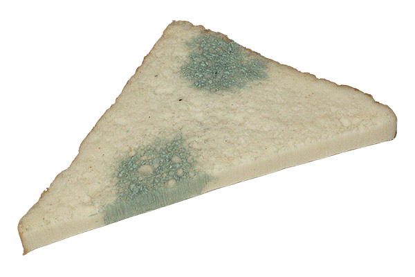 Fake Food Prop Moldy Bread Slice New