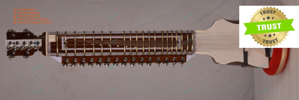 Professional High Quality Indian Classical Musical String Instrument Right Hande