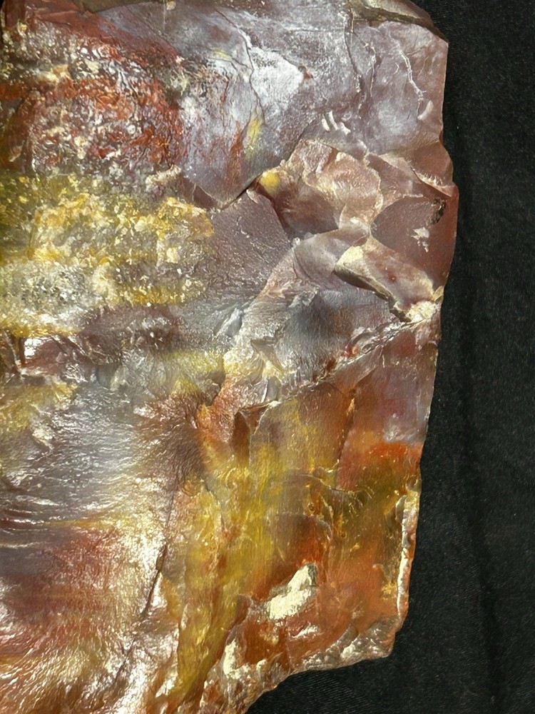 Arizona Rainbow Petrified Wood