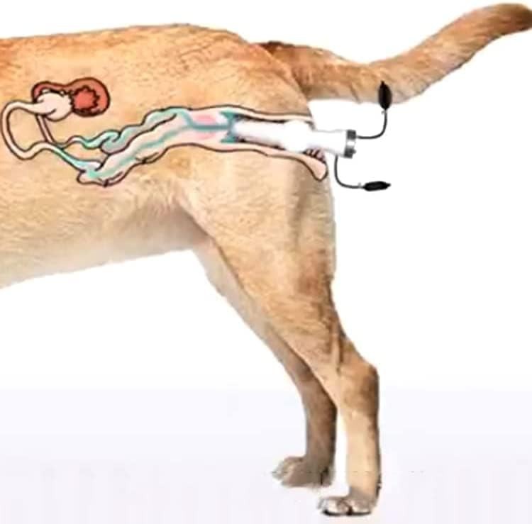 Dog Artificial Insemination Kit for Medium Dogs