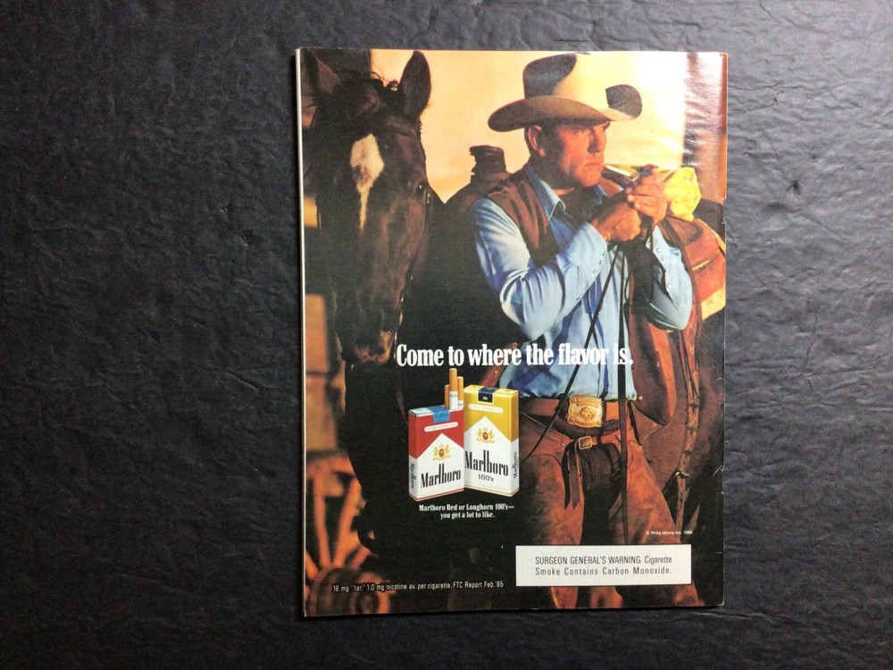 1987 DETROIT TIGERS ~ Program/ Scorecard ~ Not scored ~ REAL NICE SHAPE!