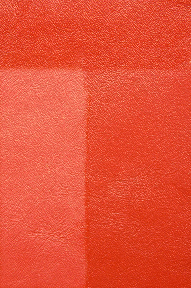 Voigt Leather Shield