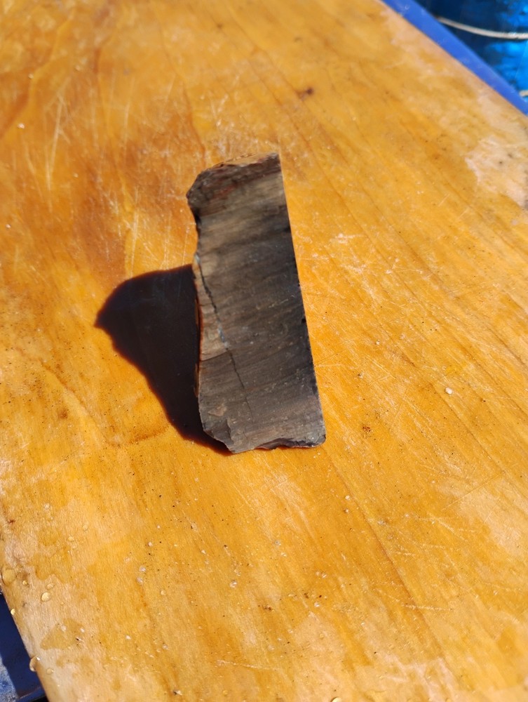 Petrified Wood Cut Once Ready For Display