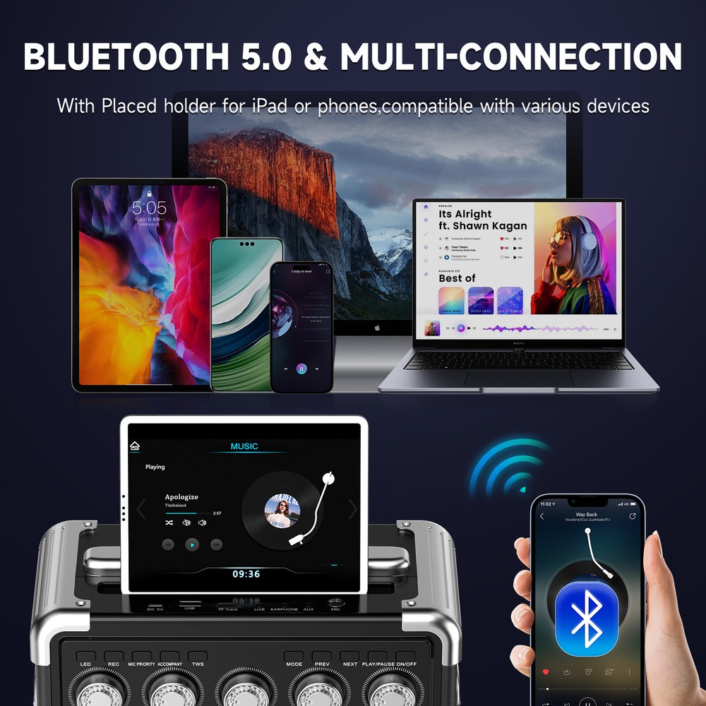 Karaoke Machine Audio with Microphone Portable Bluetooth Speaker Graduation Gift
