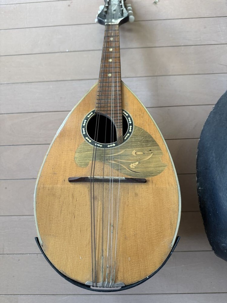 Mandolin SUZUKI