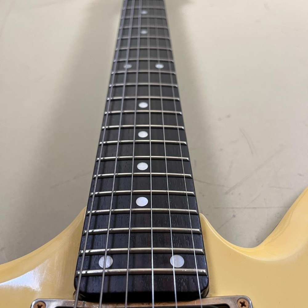 Aria Pro II ZZ Custom 1984 Black White