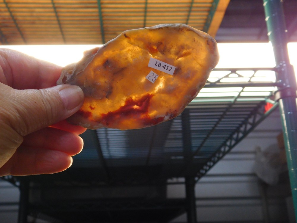 Coprolite Polished Slab for Cabs