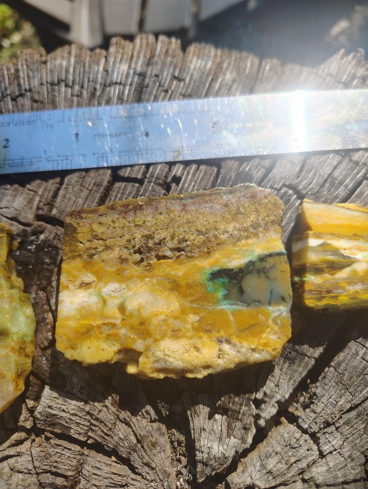 blue opalized petrified wood