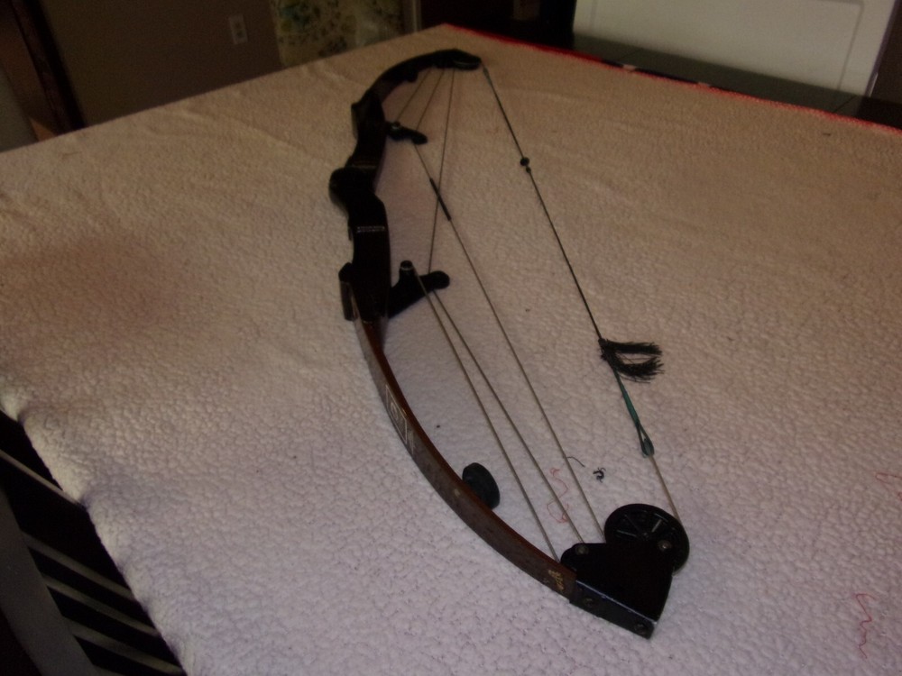 Bear Whitetail Hunter Right Hand Compound Bow