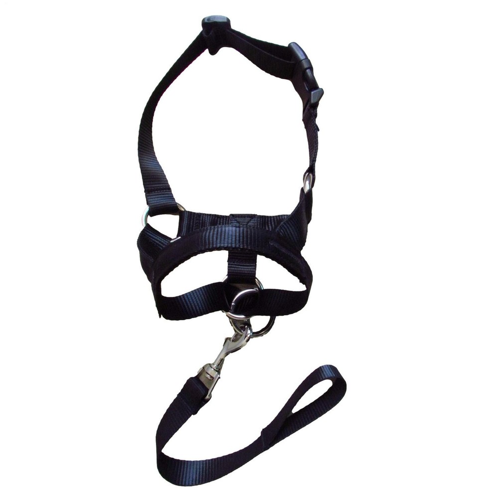 Training Harness Dog Halter Pet Muzzle W/ Straps | Training Holder Prevents