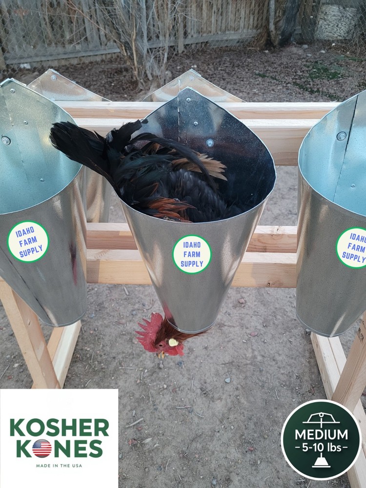 MEDIUM SIZE POULTRY KILL PROCESSING RESTRAINING CONE FUNNEL - FREE SHIPPING