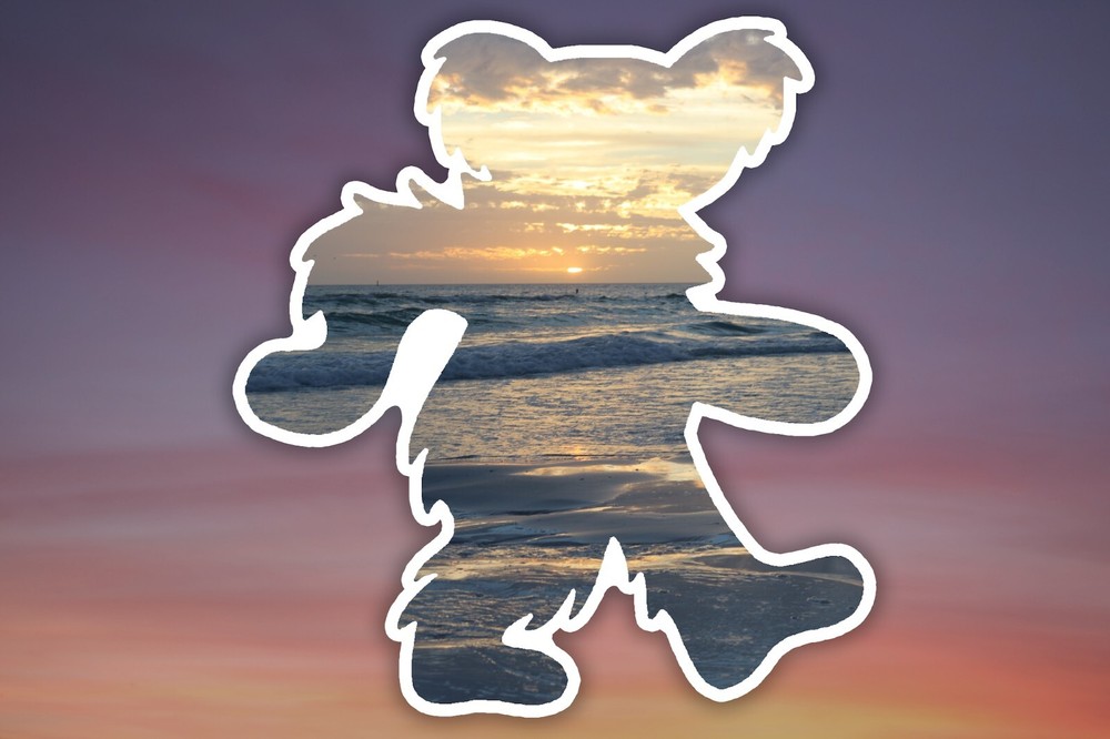 Grateful Dead Decal Dancing Bear Siesta Key Florida Sunset