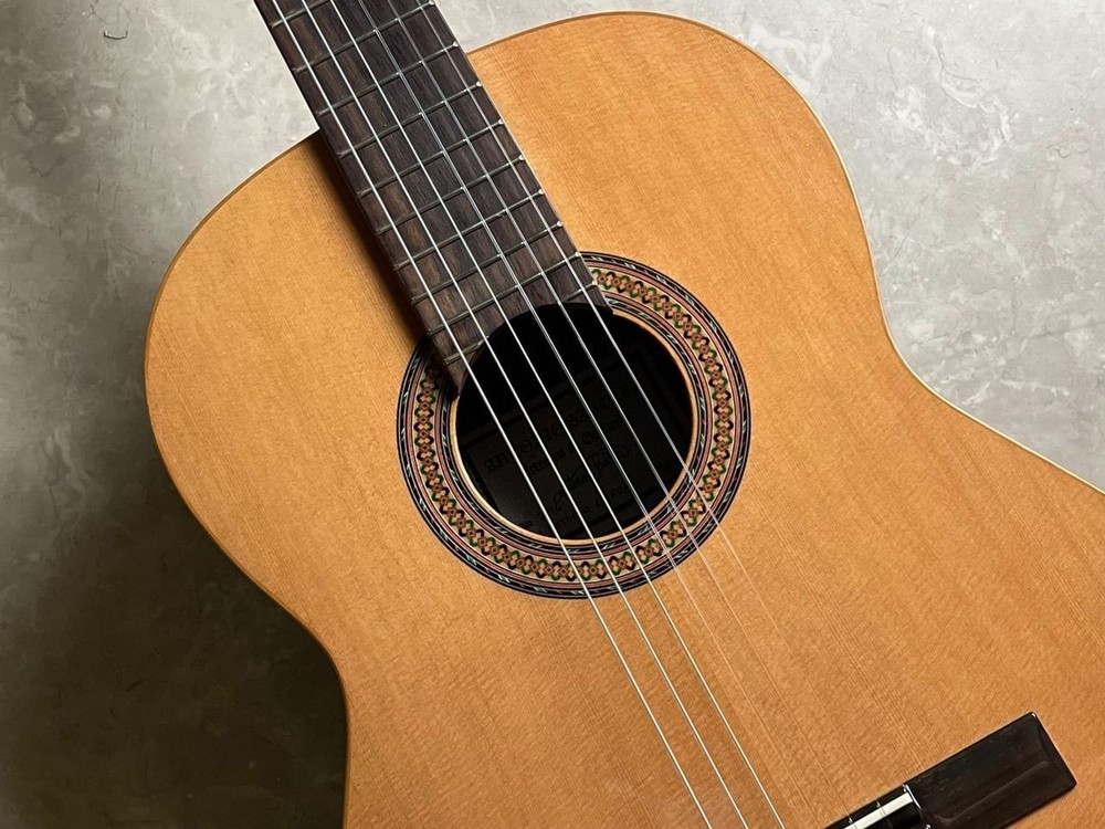 Antonio Sanchez Estudio 1C USED