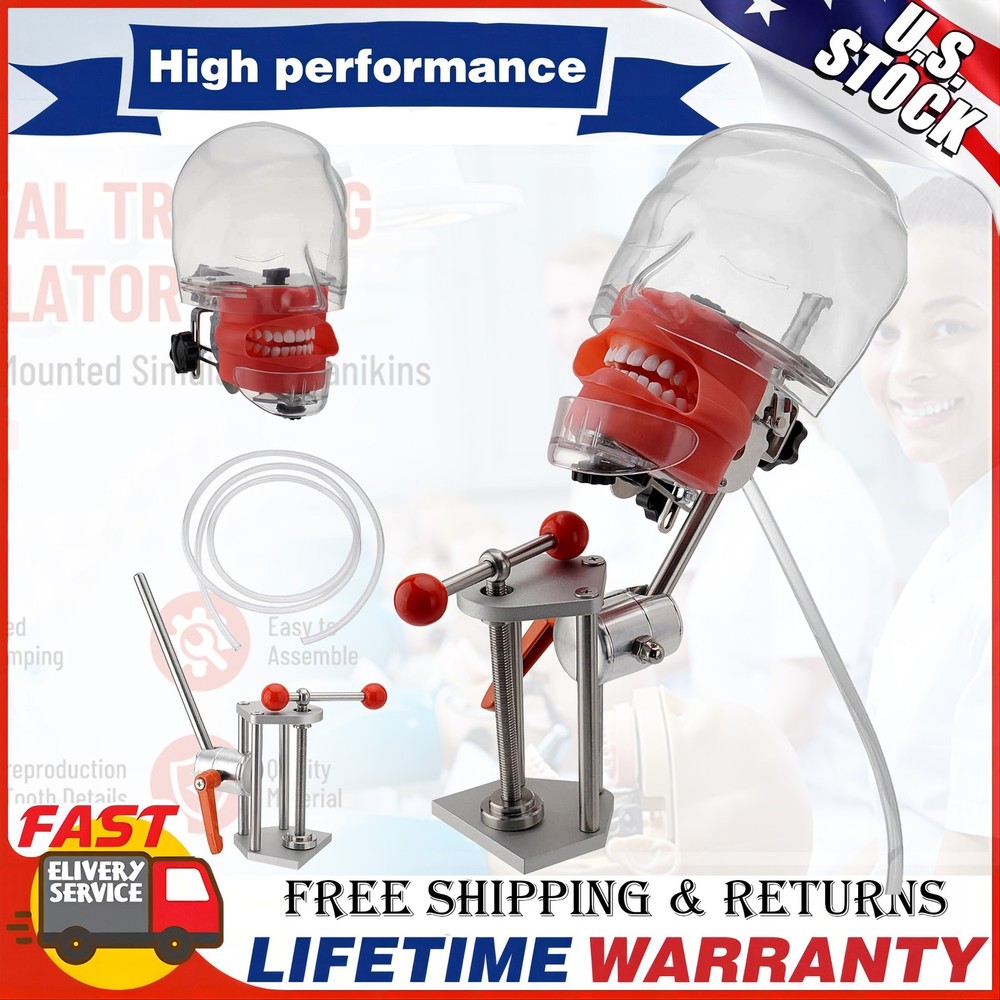 Dental Simulator Mannequin Head Mold Desk 32Pcs Teeth Model Teaching Practicing