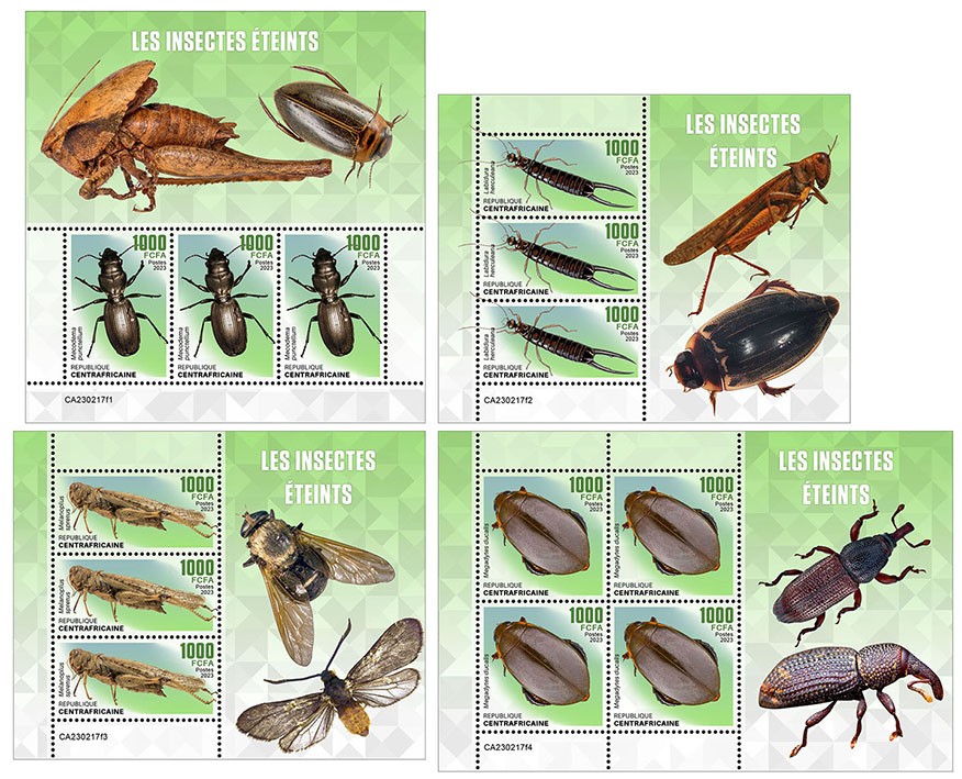 Extinct insects