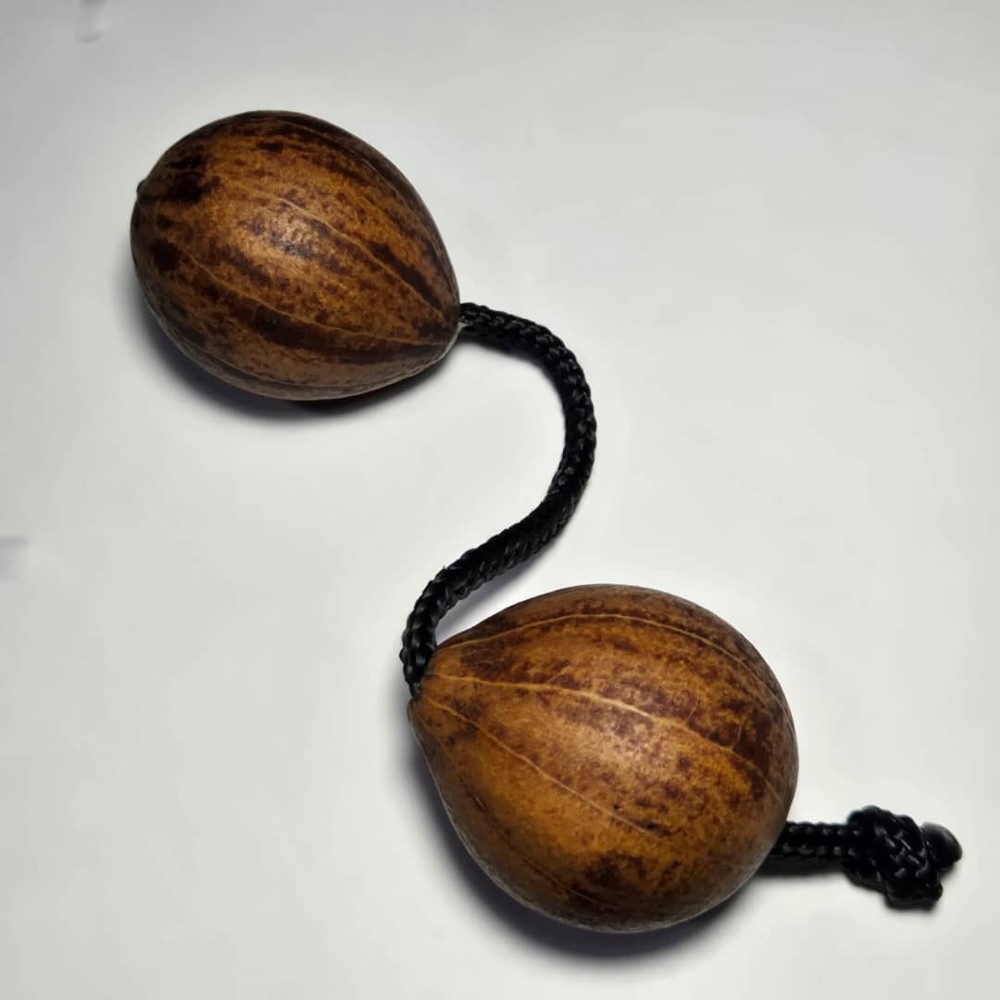 Aslatuo Kosh kash - Adjustable shaker